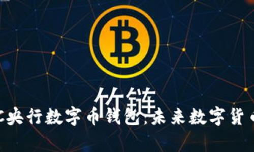 全面解析BAC央行数字币钱包:未来数字货币的安全之道
