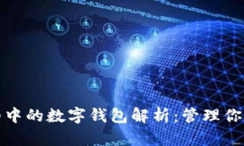 : 银行明细中的数字钱包解析：管理你的数字资产