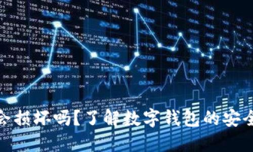 数字货币钱包会损坏吗?了解数字钱包的安全性与维护策略