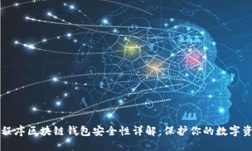 小程序区块链钱包安全性详解:保护你的数字资产