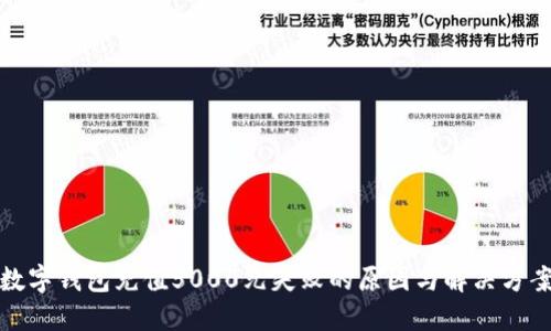 数字钱包充值5000元失败的原因与解决方案