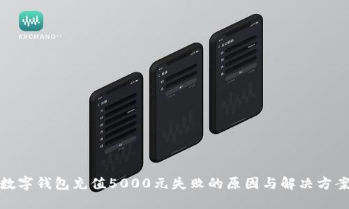 数字钱包充值5000元失败的原因与解决方案