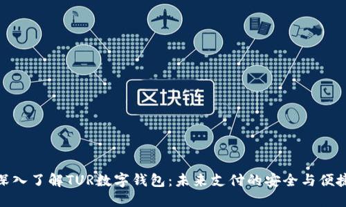 深入了解TUR数字钱包:未来支付的安全与便捷