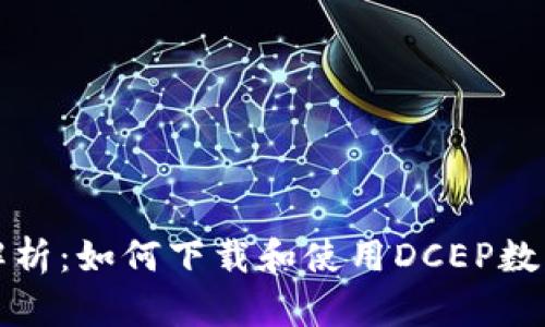 全面解析:如何下载和使用DCEP数字钱包