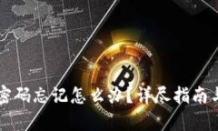 tpWallet密码忘记怎么办？详尽指南与解决方案