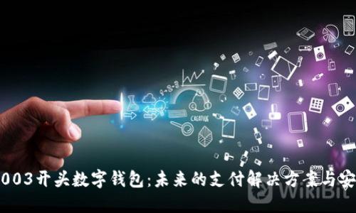 探索003开头数字钱包:未来的支付解决方案与安全性