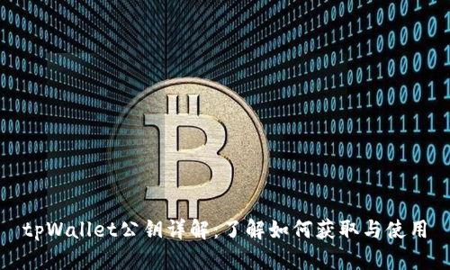 tpWallet公钥详解:了解如何获取与使用