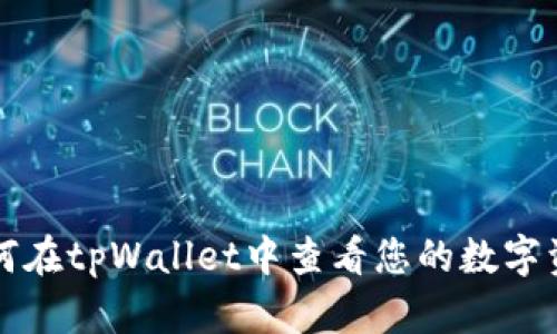 如何在tpWallet中查看您的数字资产