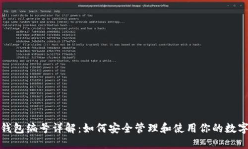 数字钱包编号详解:如何安全管理和使用你的数字资产