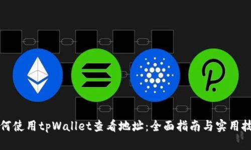 如何使用tpWallet查看地址:全面指南与实用技巧