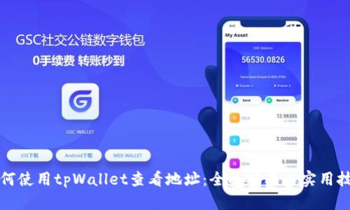 如何使用tpWallet查看地址:全面指南与实用技巧