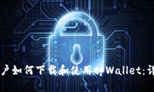 苹果用户如何下载和使用tpWallet:详细指南