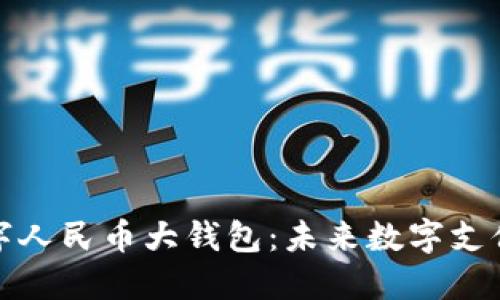 全面解读数字人民币大钱包：未来数字支付的创新趋势