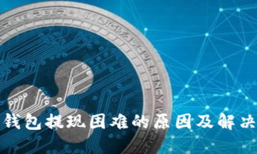 数字钱包提现困难的原因及解决办法