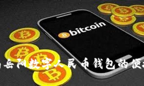 探索湖南岳阳数字人民币钱包的便捷与安全