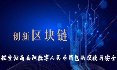探索湖南岳阳数字人民币钱包的便捷与安全