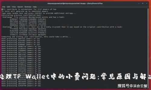 如何处理TP Wallet中的小费问题:常见原因与解决方案