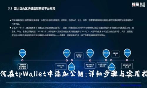 如何在tpWallet中添加公链:详细步骤与实用指南