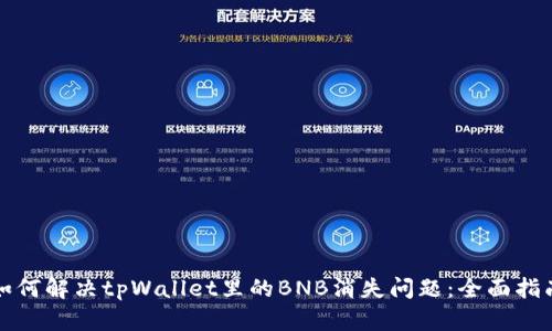如何解决tpWallet里的BNB消失问题:全面指南