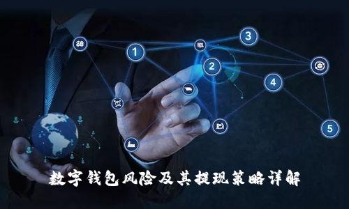 数字钱包风险及其提现策略详解