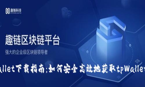 tpWallet下载指南：如何安全高效地获取tpWallet应用