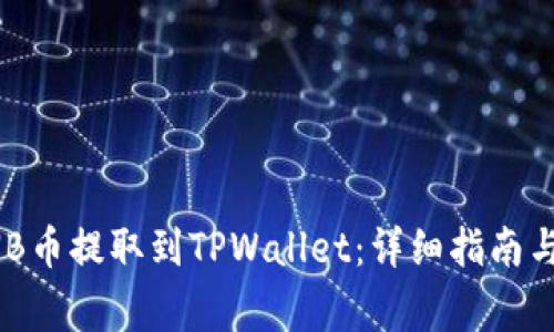 如何将BNB币提取到TPWallet:详细指南与注意事项
