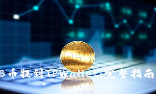 如何将SHIB币提到TPWallet：完整指南与步骤解析