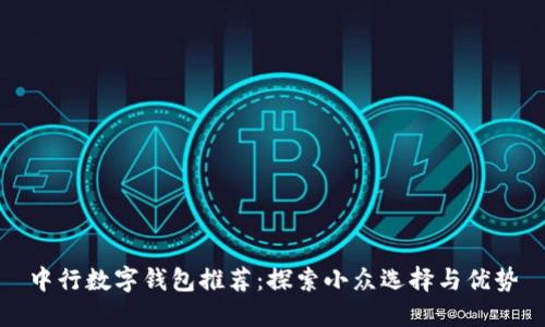 中行数字钱包推荐：探索小众选择与优势