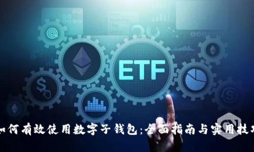 如何有效使用数字子钱包：全面指南与实用技巧