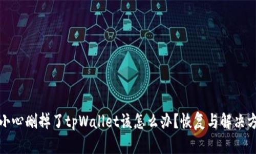 如果不小心删掉了tpWallet该怎么办？恢复与解决方案详解
