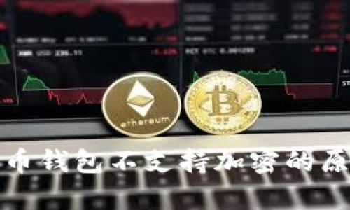 全面解析比特币钱包不支持加密的原因及解决方案