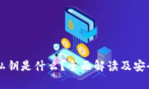 tpWallet私钥是什么?全面解读及安全使用指南