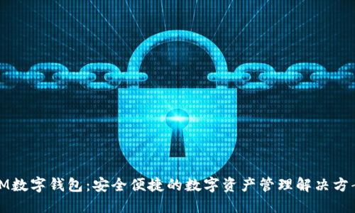 IM数字钱包:安全便捷的数字资产管理解决方案
