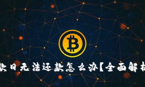 数字钱包还款日无法还款怎么办?全面解析及解决方案