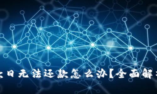 数字钱包还款日无法还款怎么办?全面解析及解决方案