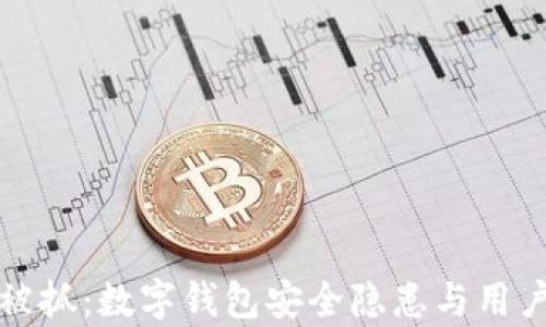 tpWallet被抓:数字钱包安全隐患与用户防护策略