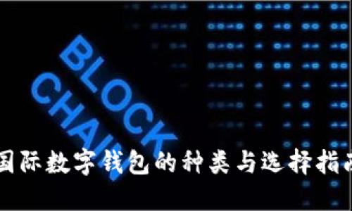 国际数字钱包的种类与选择指南