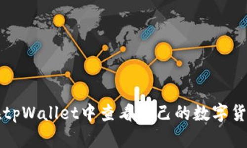 如何在tpWallet中查看自己的数字货币资产