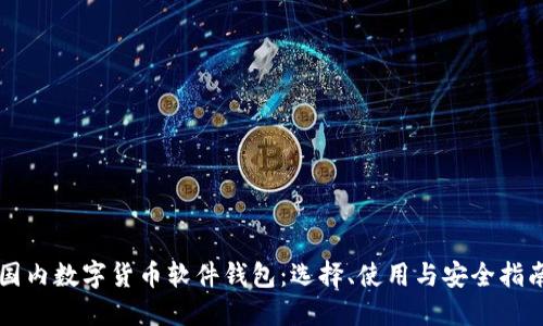 国内数字货币软件钱包:选择、使用与安全指南