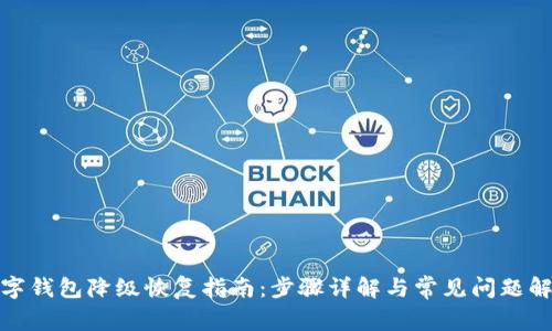 数字钱包降级恢复指南:步骤详解与常见问题解答