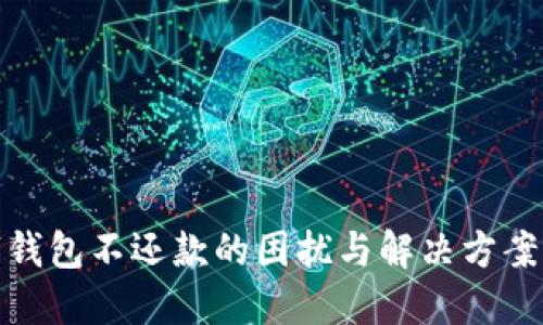 数字钱包不还款的困扰与解决方案详解