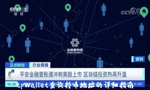 
tpWallet查询持币地址的详细指南