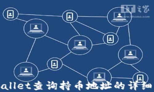 
tpWallet查询持币地址的详细指南