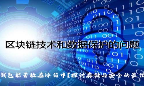 数字钱包能否放在冰箱中?探讨存储与安全的最佳实践