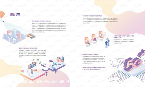 中国支持的加密钱包推荐及使用指南