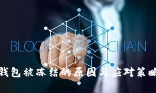 数字钱包被冻结的原因与应对策略分析