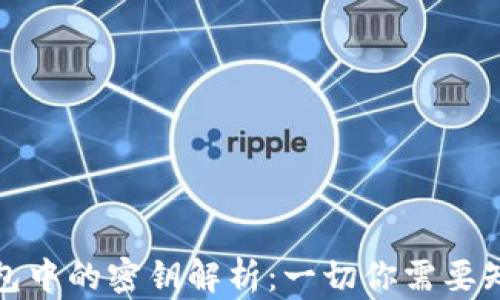 区块链钱包中的密钥解析:一切你需要知道的内容
