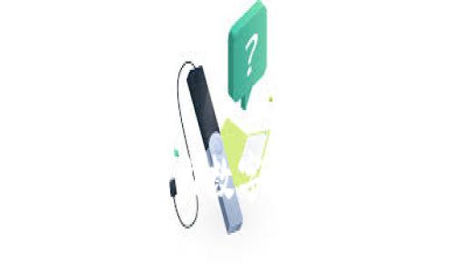 全面解析:安全的国内数字钱包选择及使用指南