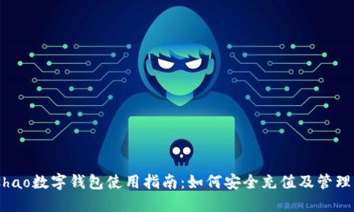 biashao数字钱包使用指南：如何安全充值及管理资金