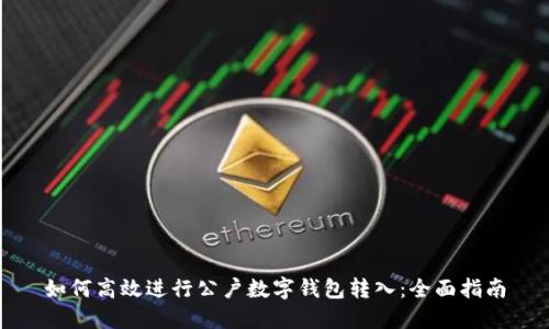 如何高效进行公户数字钱包转入:全面指南